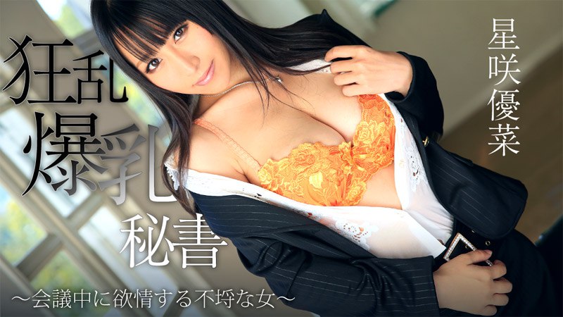 Heyzo-0746 狂乱爆乳秘書~会議中に欲情する不埒な女~